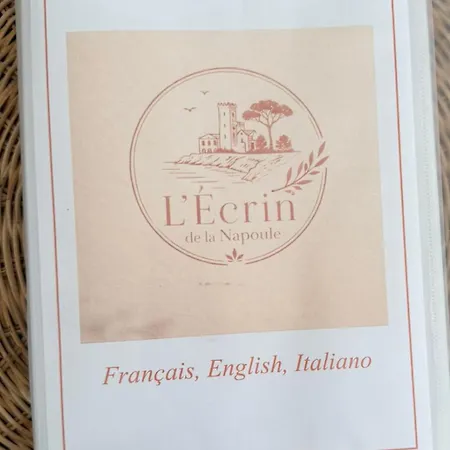 L Ecrin De La Napoule Piscine A Pied Clim 度假居 *
